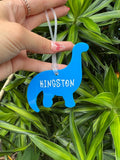 Bag Tag - Dinos